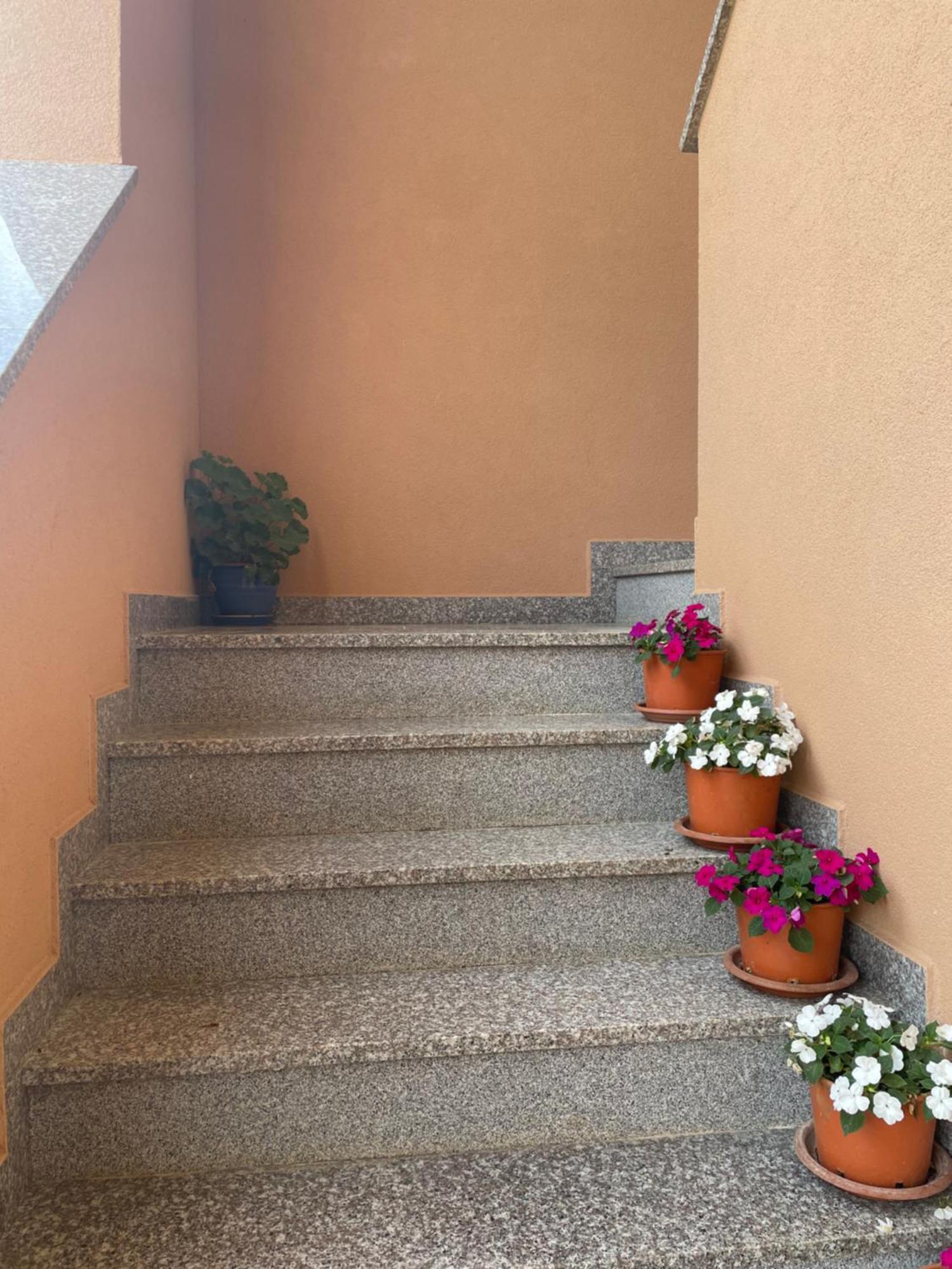 Apartments Dora Poreč Exterior foto